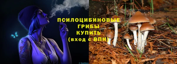 молекула духа Алексеевка