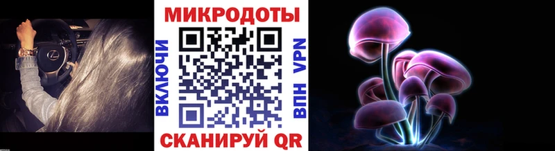 Галлюциногенные грибы MAGIC MUSHROOMS  Межгорье 